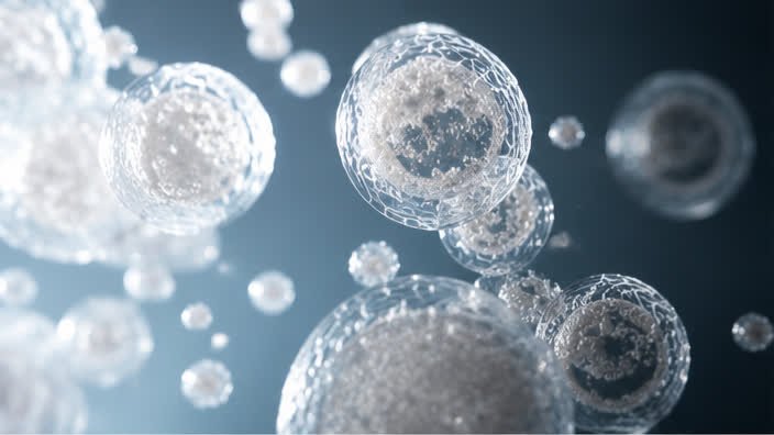 Yeast-derived extracellular vesicles at high magnification