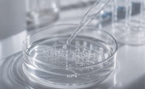 A pipette dispensing into a petri dish on a laboratory bench
